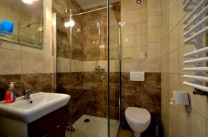 a bathroom with a shower and a toilet and a sink at Pensjonat Ślepowron in Międzywodzie