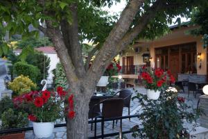 Zahrada ubytování Guesthouse Papastathis