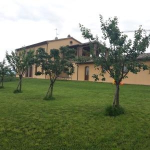 a house with three trees in front of it at Il Casale Giallo in Montefalco