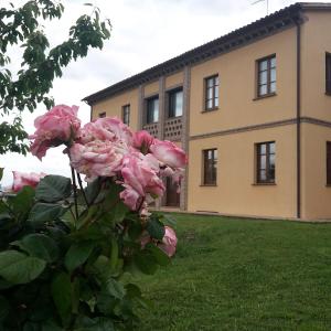 a bunch of pink roses in front of a building at Il Casale Giallo in Montefalco