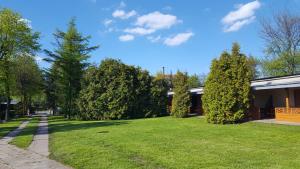 Vonkajšia záhrada v ubytovaní Camping nr 61