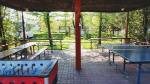 un grupo de mesas de ping pong en un parque en Camping nr 61, en Elbląg