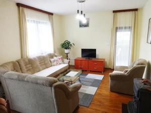 a living room with a couch and a tv at Apartment Sky in Korenica