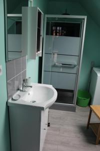 La salle de bains est pourvue d'un lavabo blanc et d'une douche. dans l'établissement La Grange Du Festel, à Oneux
