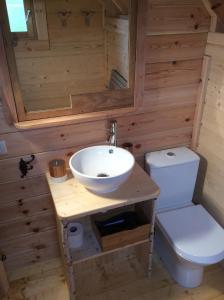 a bathroom with a sink and a toilet at Shanti Lac Cabanes gîtes insolites et espace bien-être Bordeaux in Berson +91 photos