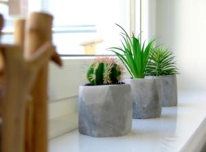 Fotografie z fotogalerie ubytování Apartament Białe Piaski v destinaci Dębki