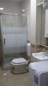 a bathroom with a shower and a toilet and a sink at Apartment FINI in Tivat +35 photos