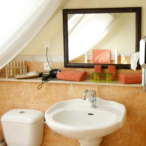 a bathroom with a sink and a toilet and a mirror at Die Dependance in Neckargemünd