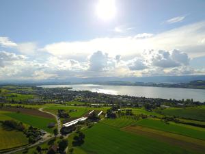 an aerial view of a lake with green fields at Ferienwohnung Burg Murten in Murten