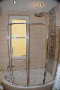 a shower with a glass enclosure in a bathroom at Apartment Avenzio in Würzburg
