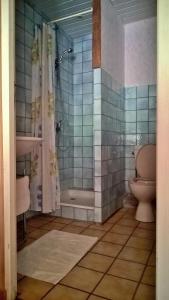 een badkamer met een douche en een toilet bij A la source du saolon in Culmont