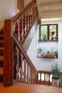 a wooden staircase with potted plants and a window at Altstadt-Pension-Potsdam in Potsdam