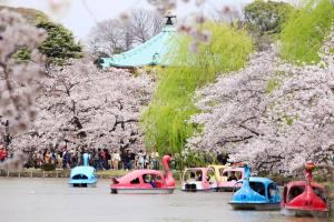 東京的住宿－上野車站百夫長Spa酒店，一群在水中种有樱桃树的玩具船