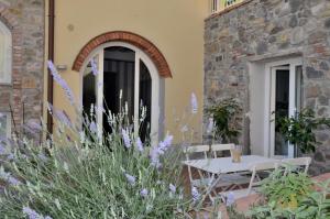 a garden with purple flowers and a bench on a building at Podere Delle Fanciulle in Pistoia