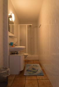 a bathroom with a sink and a shower at Ostello & Camping Riposo in Losone