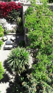 Gallery image of Back to Sorrento in Sant'Agnello