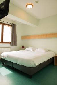 1 dormitorio con 1 cama blanca grande y TV en Le Relais Nordique, en Giron