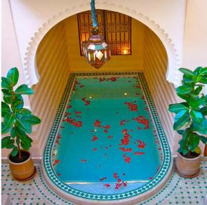 a large swimming pool in a room with plants at Riad Rabahsadia in Marrakech