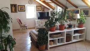 TV a/nebo společenská místnost v ubytování Apartment Varina