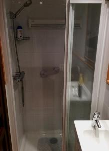 a shower with a glass door next to a sink at Pedraza Suite in Pedraza-Segovia