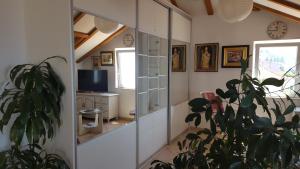 TV a/nebo společenská místnost v ubytování Apartment Varina