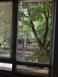 d'une fenêtre avec vue sur un arbre. dans l'établissement Apartment Sinchets, à Varna