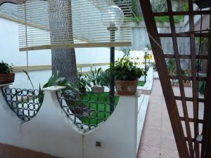 d'un balcon avec des plantes en pot et un arbre. dans l'établissement Posillipo Super Mono, à Naples