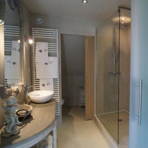 bagno con lavandino e doccia di La Roseraie a Tournai