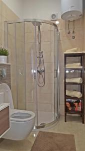 łazienka z prysznicem i białą toaletą w obiekcie City Center Premium Apartment w Poreču