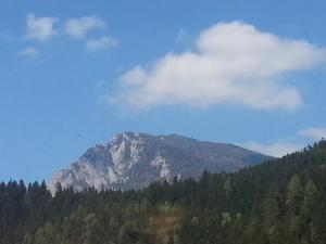 a mountain in the middle of a forest at Apartments BBI in Luče +28 photos
