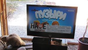 TV a/nebo společenská místnost v ubytování Lilaste
