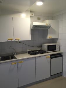 Kuchyň nebo kuchyňský kout v ubytování Hotel Apart Colón