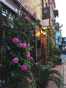 A garden outside Ahmet Efendi Evi