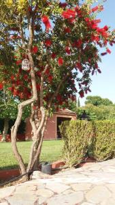 Giardino di Gregory-Vassilis Apartments