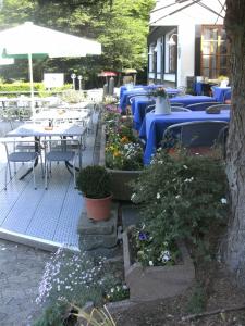 Un restaurante o sitio para comer en Waldhotel Tropfsteinhöhle