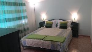 ポモリエにあるApartment Melosのベッドルーム1室(緑の枕が付くベッド1台付)