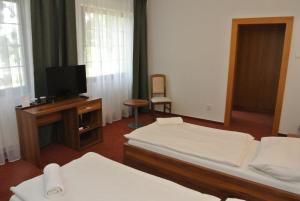 Postelja oz. postelje v sobi nastanitve Hotel Širák