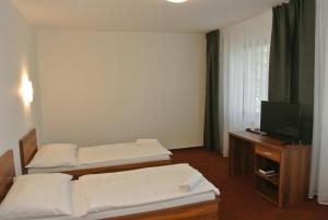 Postelja oz. postelje v sobi nastanitve Hotel Širák