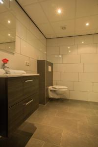 a bathroom with a toilet and a sink at Hotel Eperland in Epen