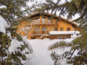Chalet Alpina Hotel & Apartments v zimě