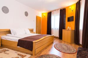 a bedroom with a large bed and a television at Deiada Guest House in Alba Iulia