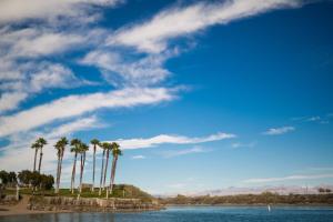 a large body of water with palm trees at Avi Resort & Casino in Laughlin