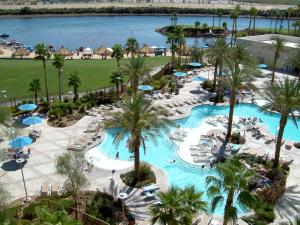 a beach filled with lots of palm trees and palm trees at Avi Resort & Casino in Laughlin