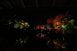 Fotografie z fotogalerie ubytování Nikko Pension L'escale v destinaci Nikko