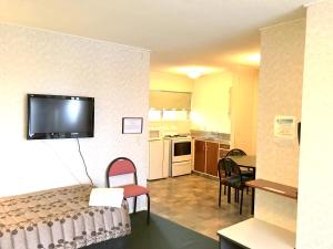 Kuchyň nebo kuchyňský kout v ubytování Greenview Motel