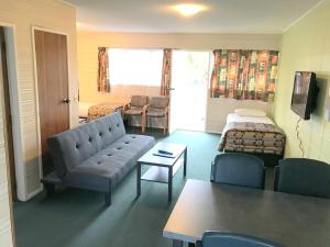 TV a/nebo společenská místnost v ubytování Greenview Motel