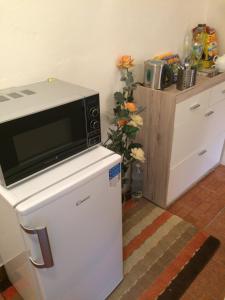 Dapur atau dapur kecil di Apartman Za Potokem