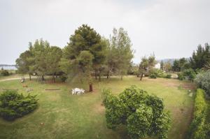 Zahrada ubytování Aegialis Apartments (Dimitros)