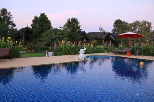 uma piscina num resort com um cão branco sentado ao lado em Sawasdee Sukhothai Resort em Sukhothai