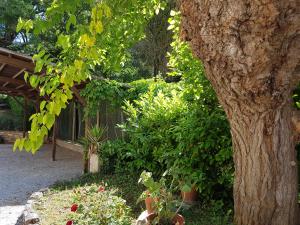 Imagen de la galería de Agriturismo Il Solaio, en Rapolano Terme 31 fotos más